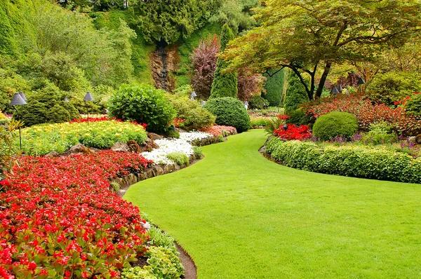 Discovering the Timeless Charm of Gardening by the Moon
